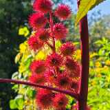 IMG_20240915_134636