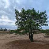 IMG_20241020_101334