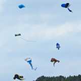 IMG_20241020_101749