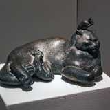 IMG_20241109_114220