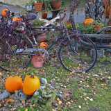 24_10_KurpitsajuhlaMuut