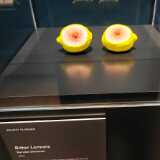 IMG_20250427_105238