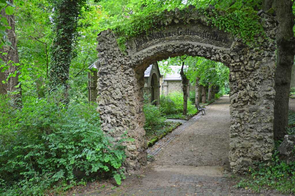 DSO_2858