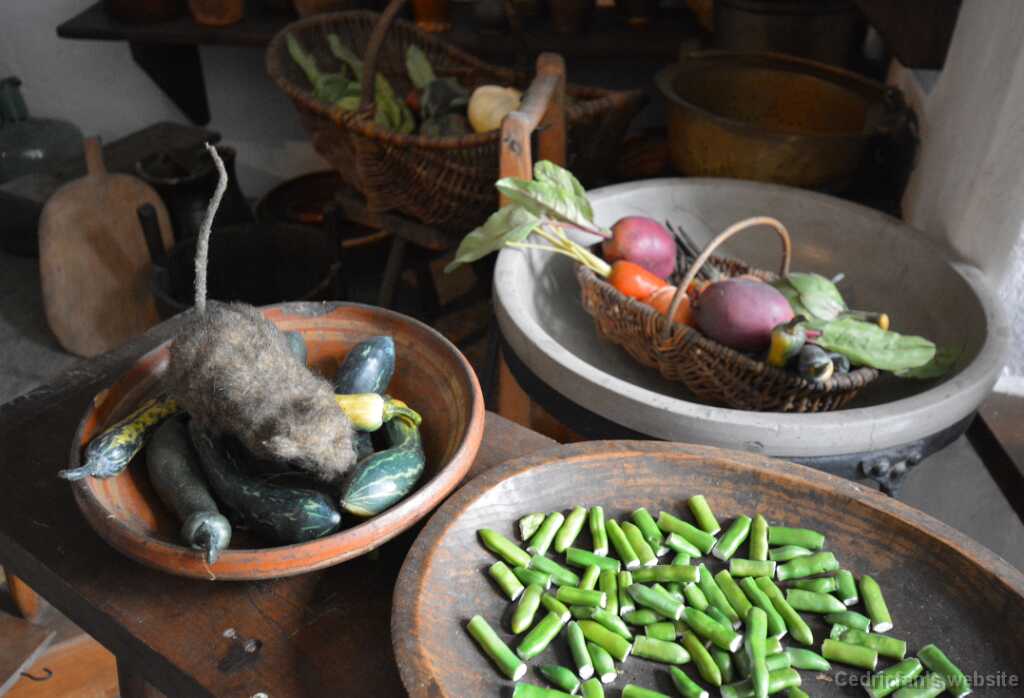 DSO_2900