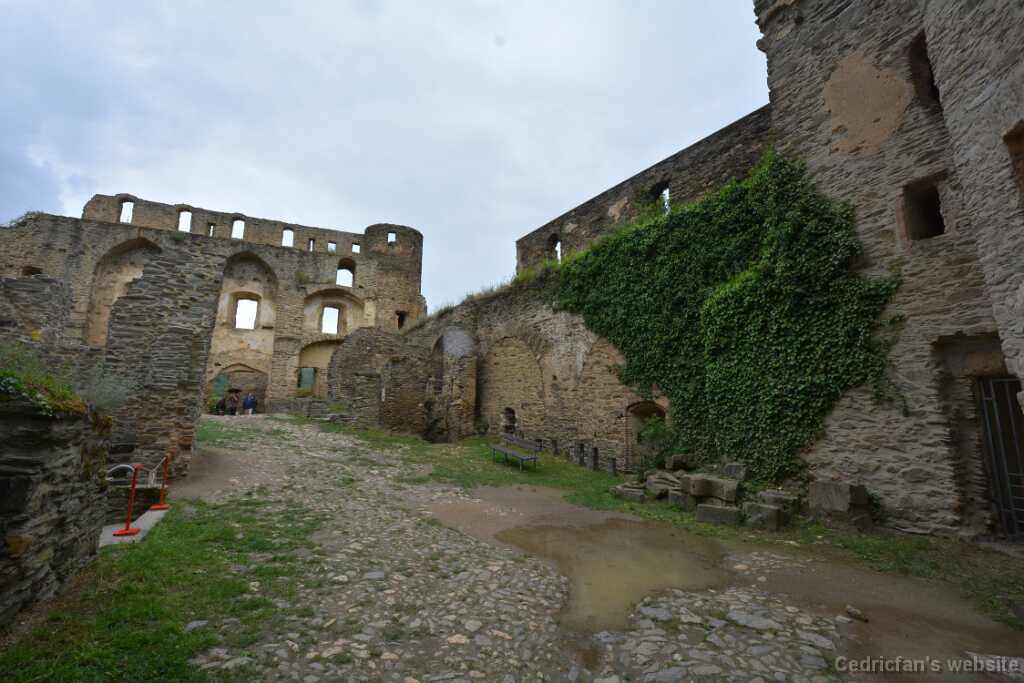 DSO_2965