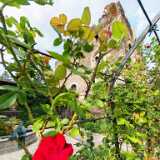 IMG_20250605_180301