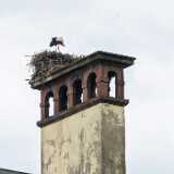 img_20250606_135446