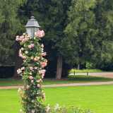 img_20250606_135602