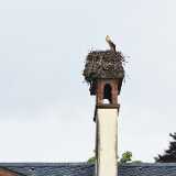 img_20250606_144821