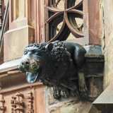 IMG_20250606_154907