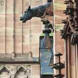 IMG_20250606_154914