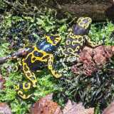 IMG_20250608_113832