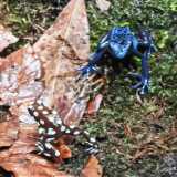 IMG_20250608_114031