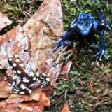 IMG_20250608_114034