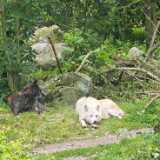 img_20250608_104235