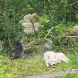 img_20250608_104250
