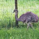 img_20250608_112239