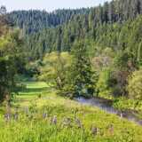 IMG_20250609_091103