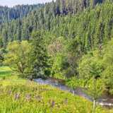 IMG_20250609_091144