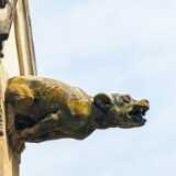 IMG_20250610_152415