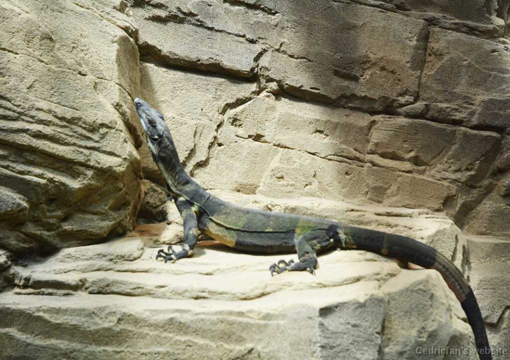 DSO_3277