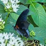 IMG_20250611_131649