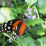 IMG_20250611_131732