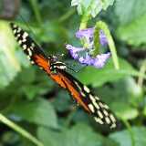 IMG_20250611_131735