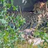 img_20250611_124318
