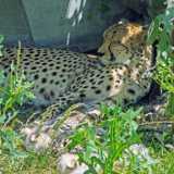 img_20250611_124359