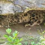img_20250611_124736