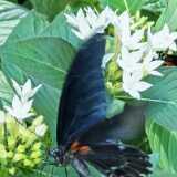 img_20250611_131620