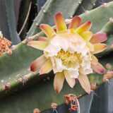 img_20250818_111357