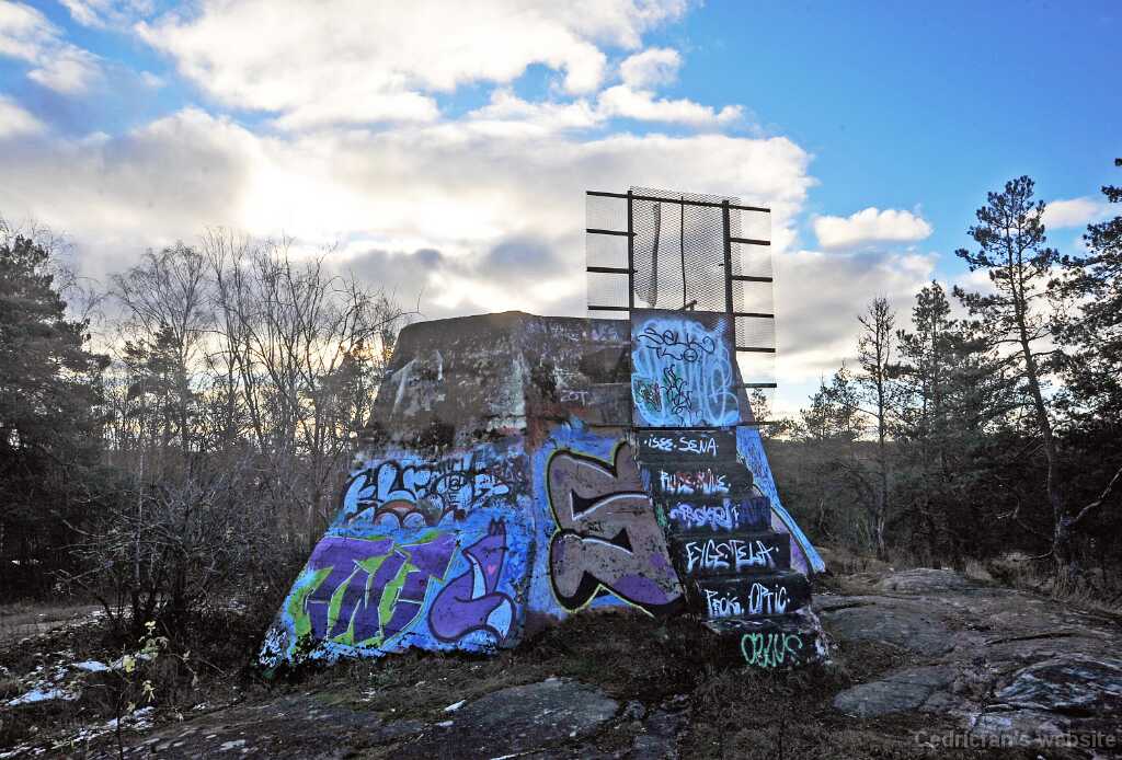 DSC_2625