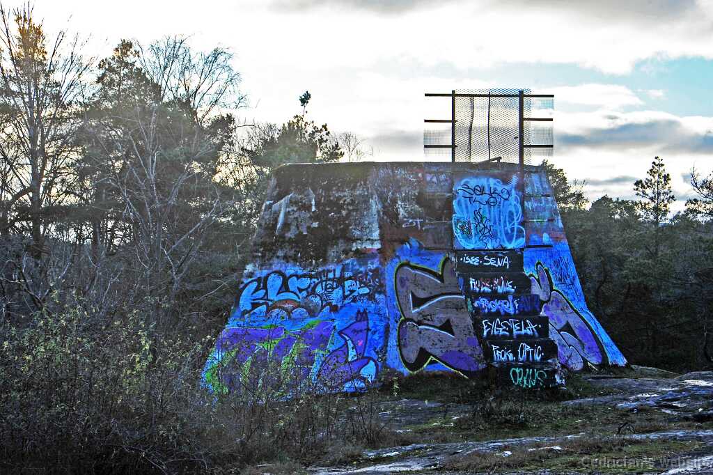 DSC_2631
