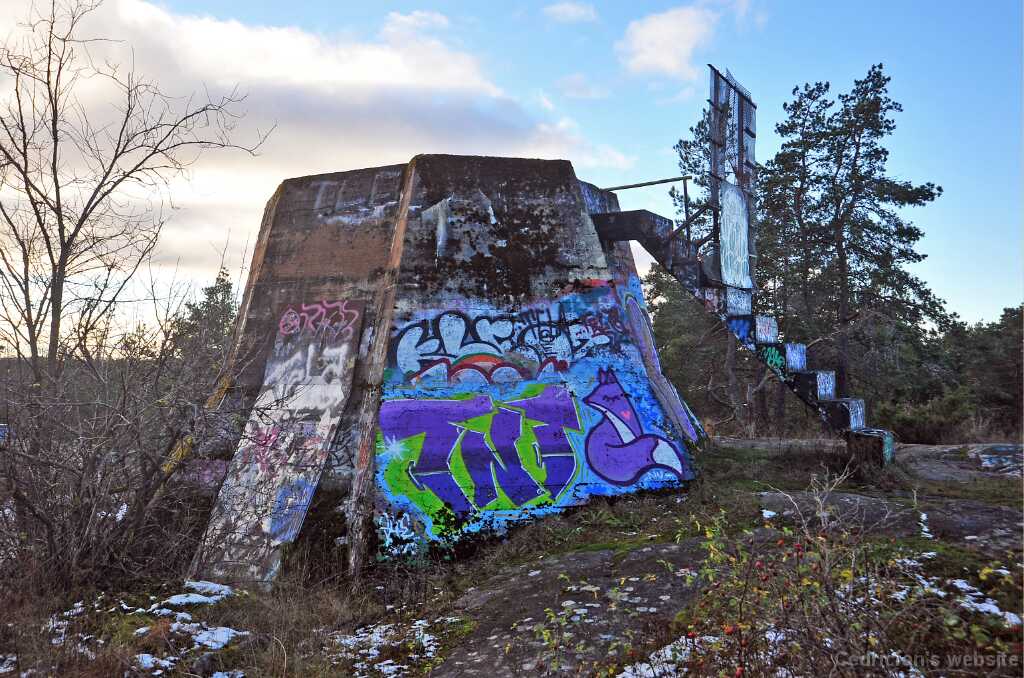 DSC_2636
