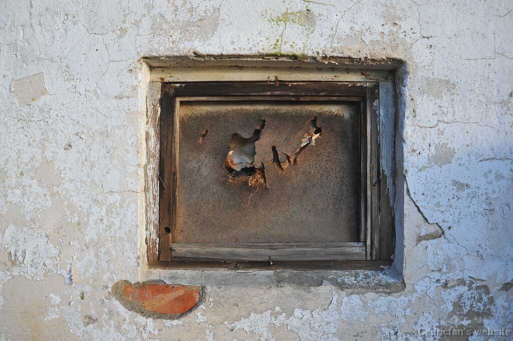 DSC_2613