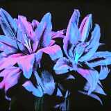 img_20251227_103839