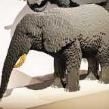 IMG_20251227_110701