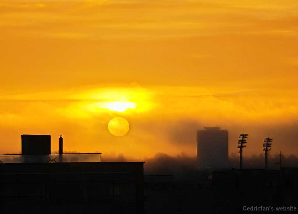 IMG_20250220_080209