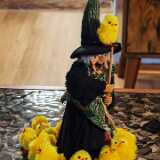 IMG_20250420_081502