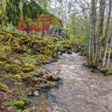 IMG_20250501_130256
