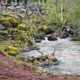 IMG_20250501_130402