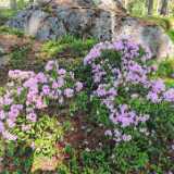 IMG_20250531_114818
