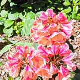 IMG_20250613_140145
