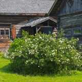 IMG_20250615_122131