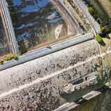 IMG_20250719_140729