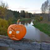 25_10_Kurpitsapuisto