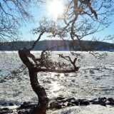 26_02_Talvi_Nautela_Lieto